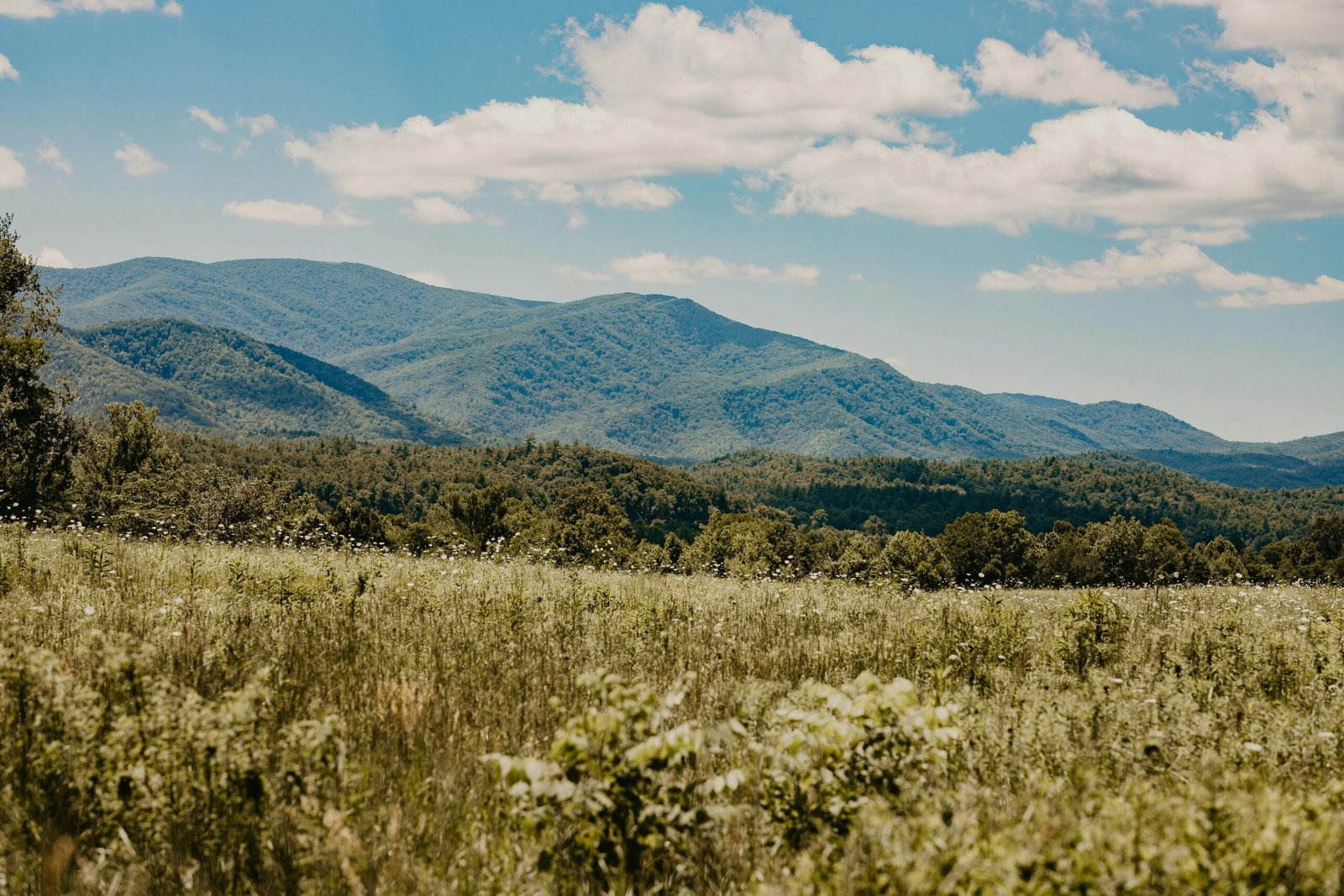 Expansive view of the Smoky Mountains captured during summer with clear skies.